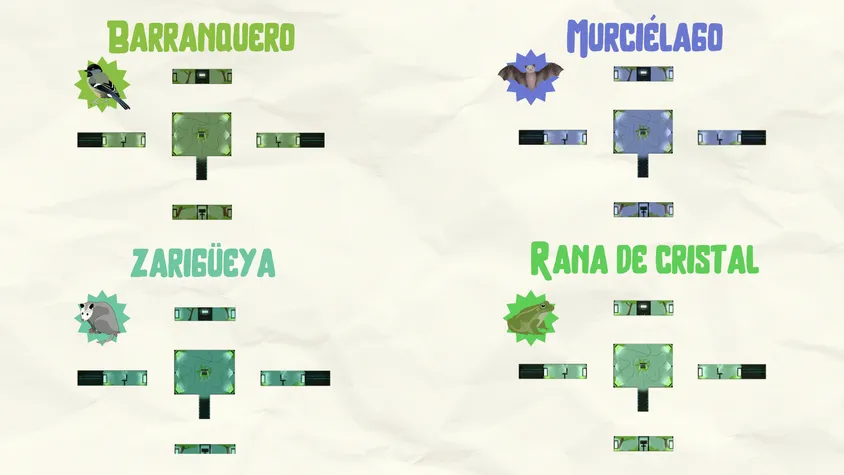 Four-quadrant diagram on cream paper showing the pavilion floor plan with different lighting moods: green for the motmot, blue for the bat, dark green for the opossum and light green for the glass frog.